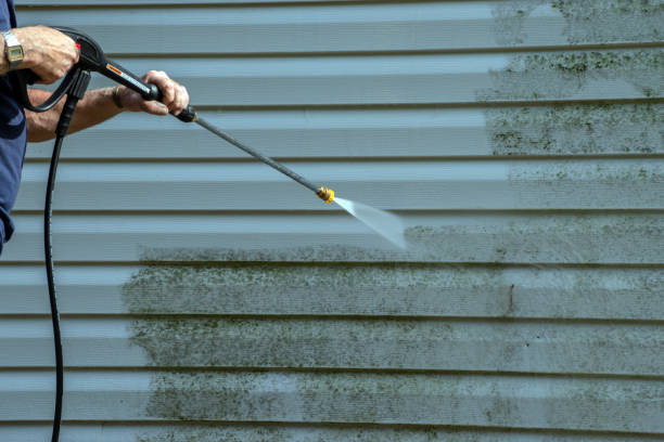 Best Pressure Washing Company Near Me  in Pecan Grove, TX