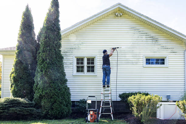 Deck Cleaning Services in Pecan Grove, TX