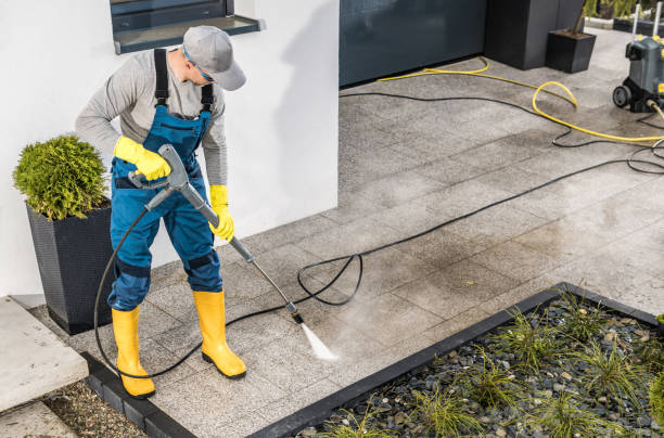 Best Affordable Power Washing  in Pecan Grove, TX