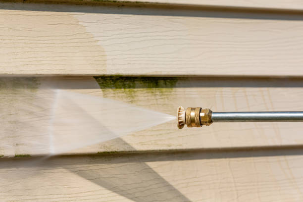Best Affordable Pressure Washing  in Pecan Grove, TX