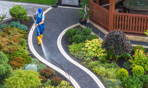 Best Commercial Pressure Washing  in Pecan Grove, TX