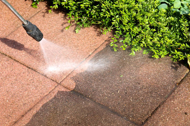 Best Pressure Washing Company Near Me  in Pecan Grove, TX